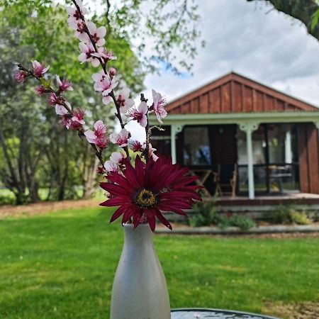 Seabreeze Holiday Park Hotwater Beach Экстерьер фото